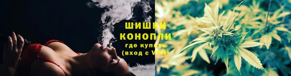 бошки Аркадак