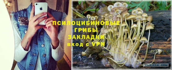 бошки Аркадак