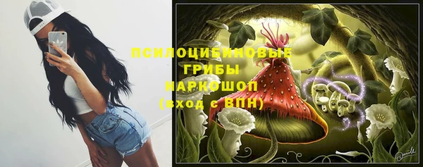 мдпв Армянск