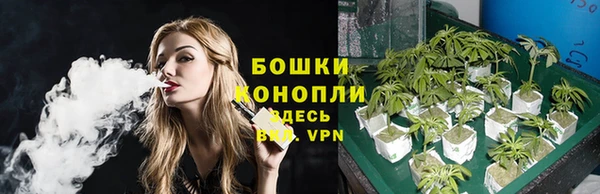 бошки Аркадак
