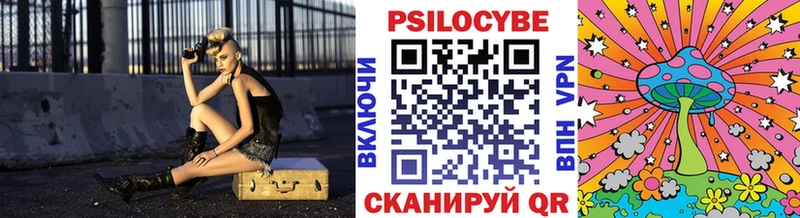 blacksprut ссылки  Балей  Псилоцибиновые грибы мицелий  сколько стоит 